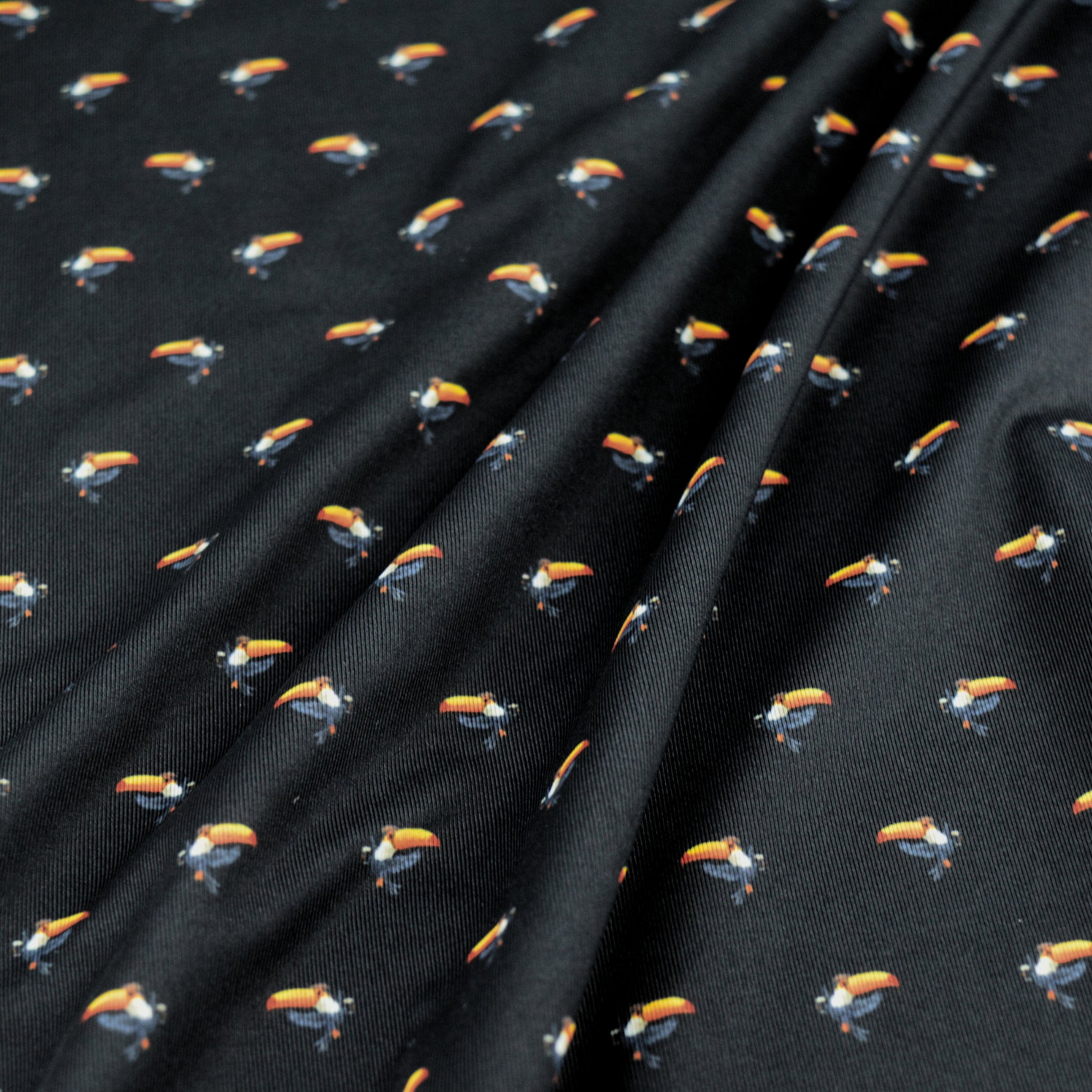 TIPSY TOUCAN - BLACK